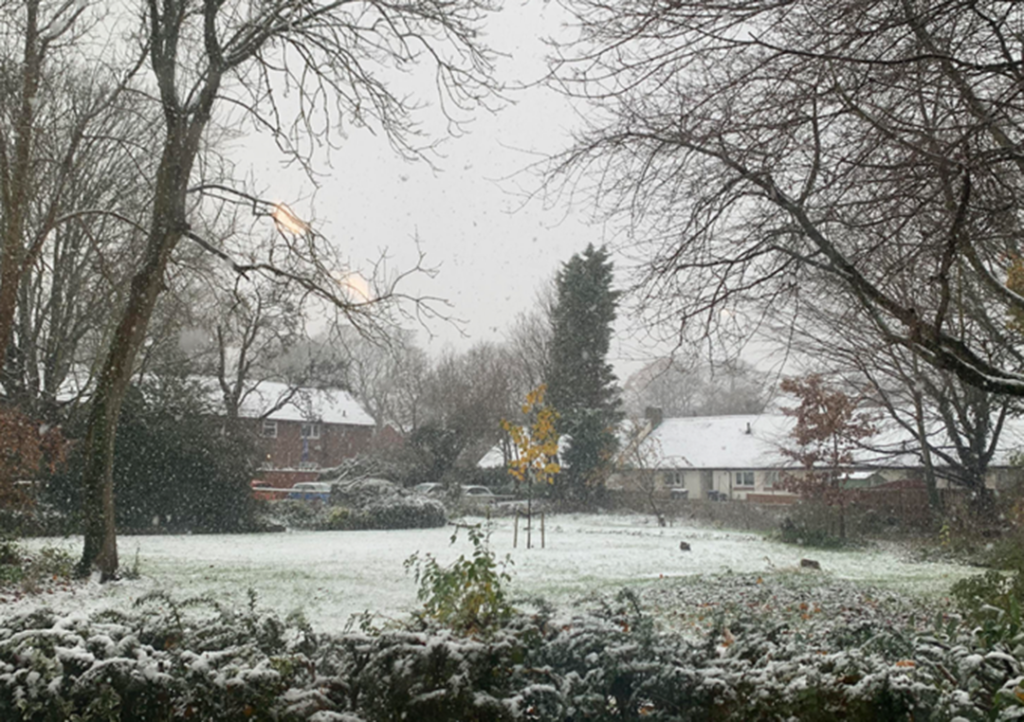 Frosty Beauty: Embracing Exeter’s Scenic Delights in Winter